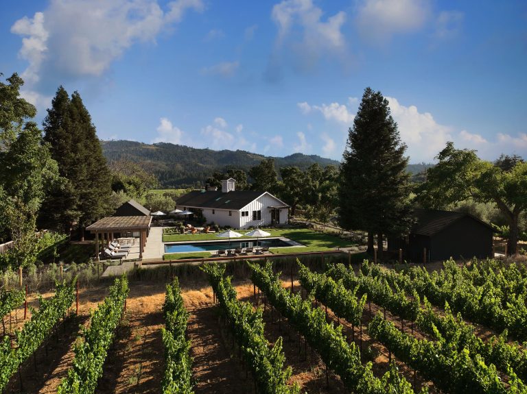 Rows of grapevines lead to a modern farmhouse with a pool and lounge chairs, surrounded by lush greenery and tall trees. Hills and a blue sky with scattered clouds form the scenic background.