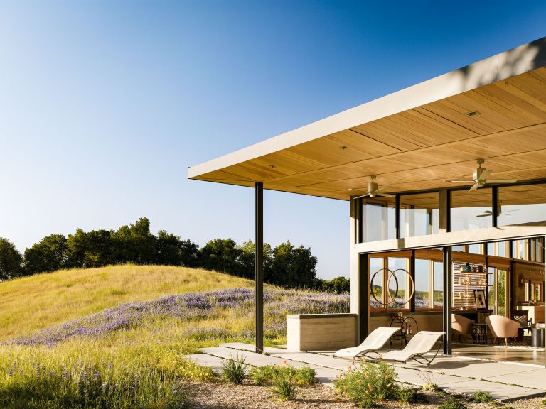 A modern house with large glass windows and a wooden overhang sits next to a grassy hill with purple wildflowers. Two lounge chairs and a circular chair are on the patio. The sky is clear and blue, giving a bright, sunny atmosphere.