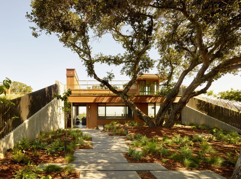 Modern two-story house with large windows and wooden exterior, partially shaded by a sprawling tree. Concrete path leads through landscaped garden with mulch and native plants. Wooden fence lines both sides, and sunlight filters through the branches onto the home.